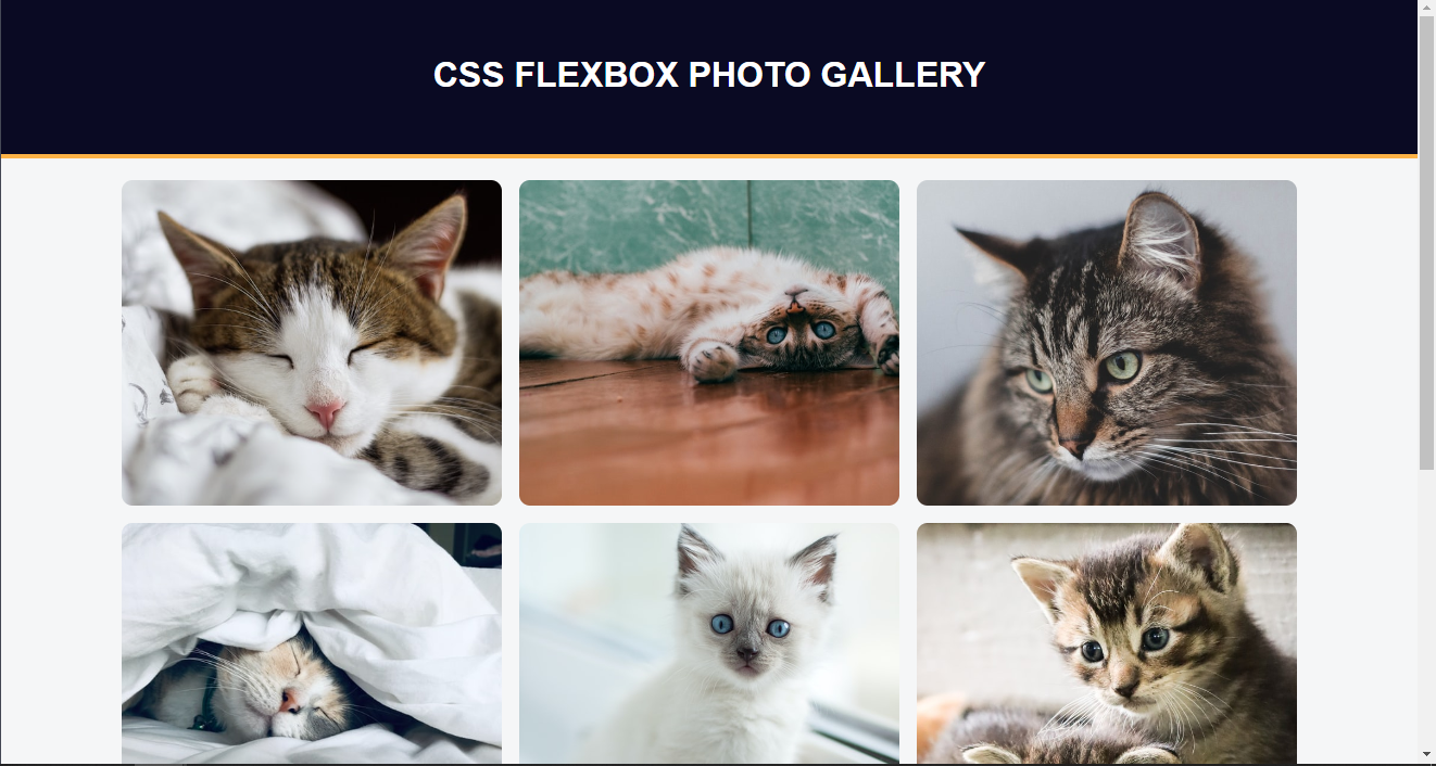 Flexbox gallery img